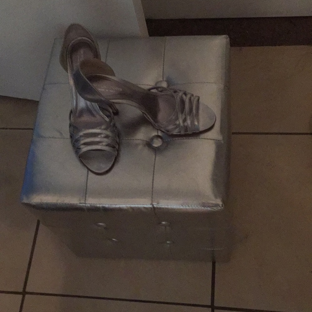 Sergio Rossi Silver Pumps